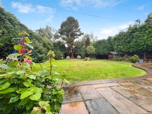 Photo 21- click for photo gallery